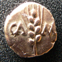 Corn ear gold quarter stater of Cunobelin